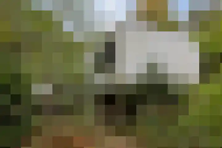 Sparrenlaan 8 Ossendrecht thumbnail 63