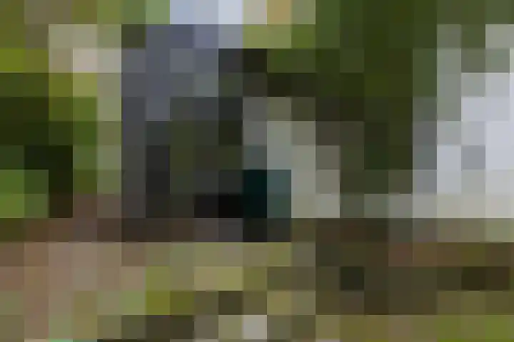 Sparrenlaan 8 Ossendrecht thumbnail 65