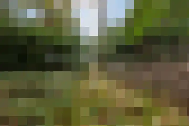 Sparrenlaan 8 Ossendrecht thumbnail 66