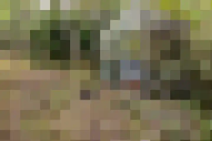 Sparrenlaan 8 Ossendrecht thumbnail 67