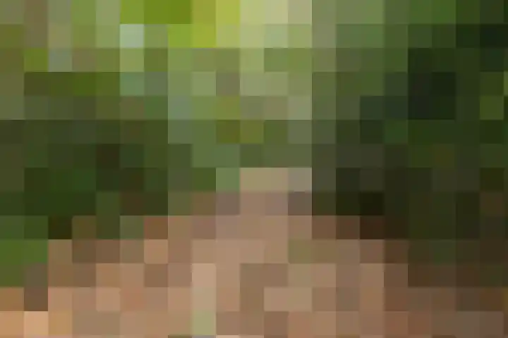 Sparrenlaan 8 Ossendrecht thumbnail 69