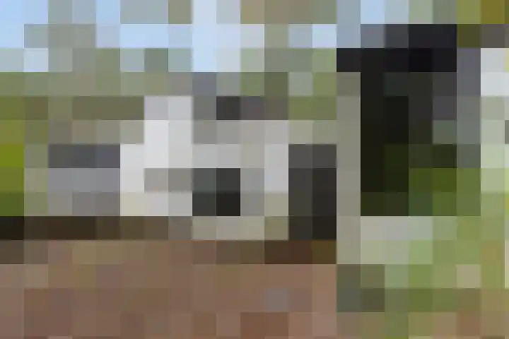 Sparrenlaan 8 Ossendrecht thumbnail 7