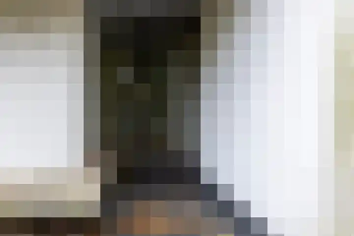 Sparrenlaan 8 Ossendrecht thumbnail 9