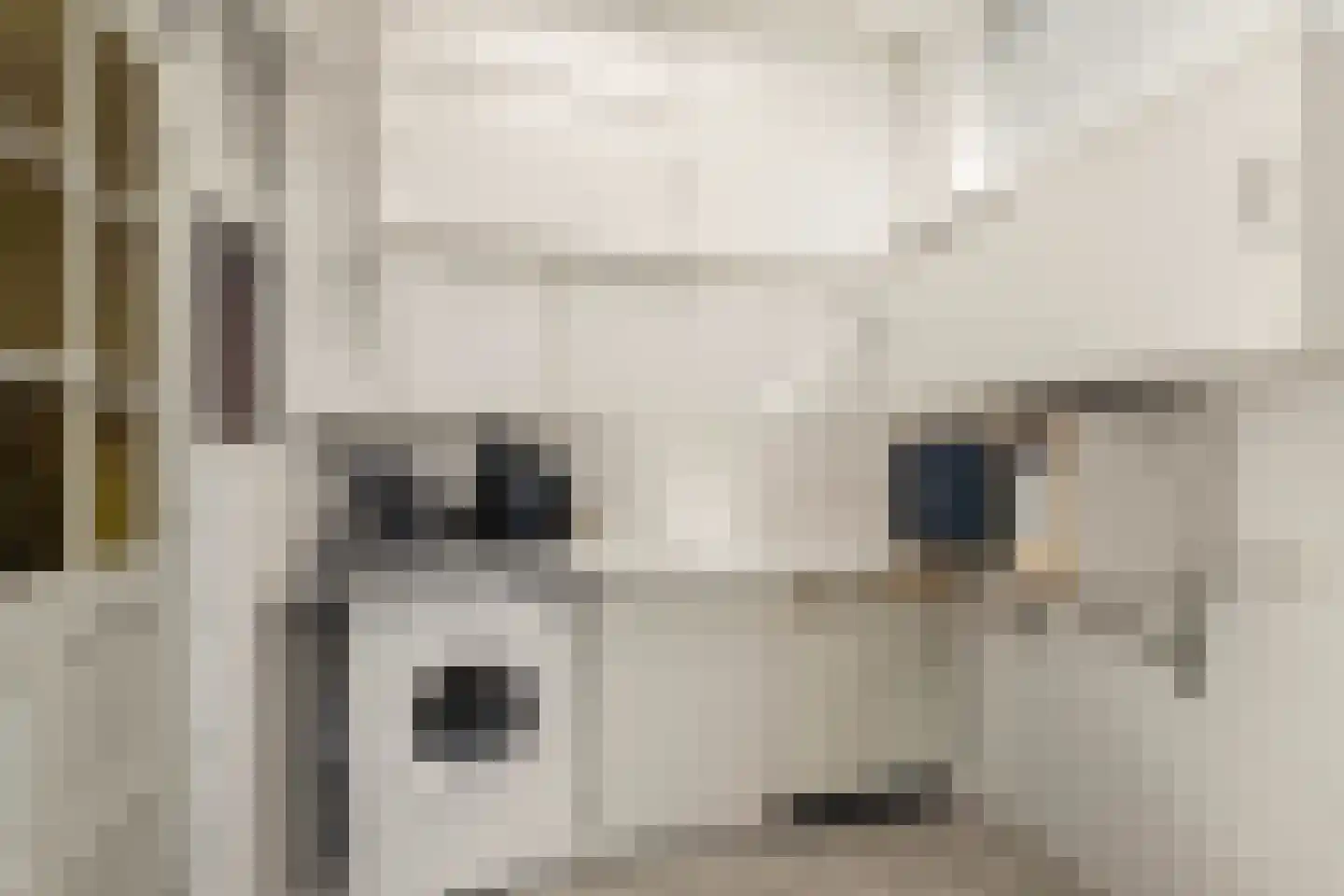Sparrenlaan 8 Oudorp thumbnail 18