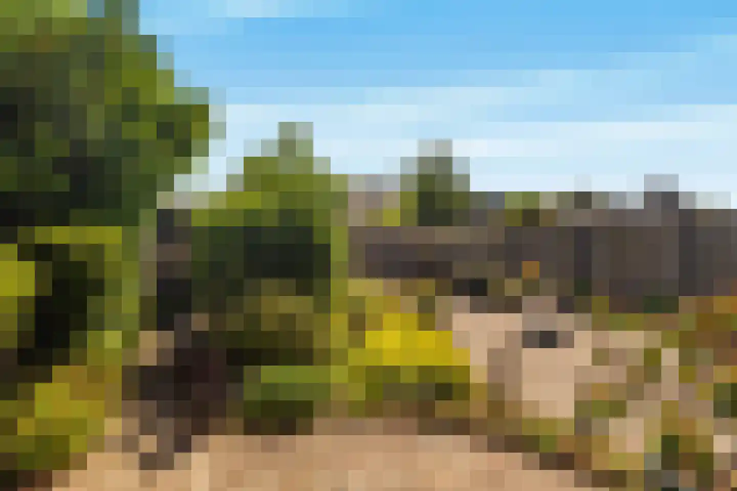 Sparrenlaan 8 Oudorp thumbnail 19