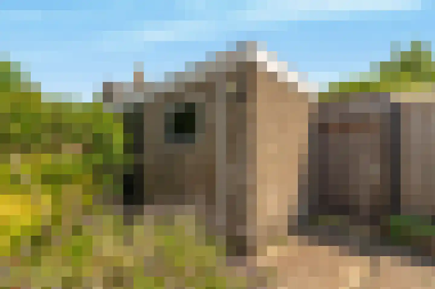 Sparrenlaan 8 Oudorp thumbnail 21