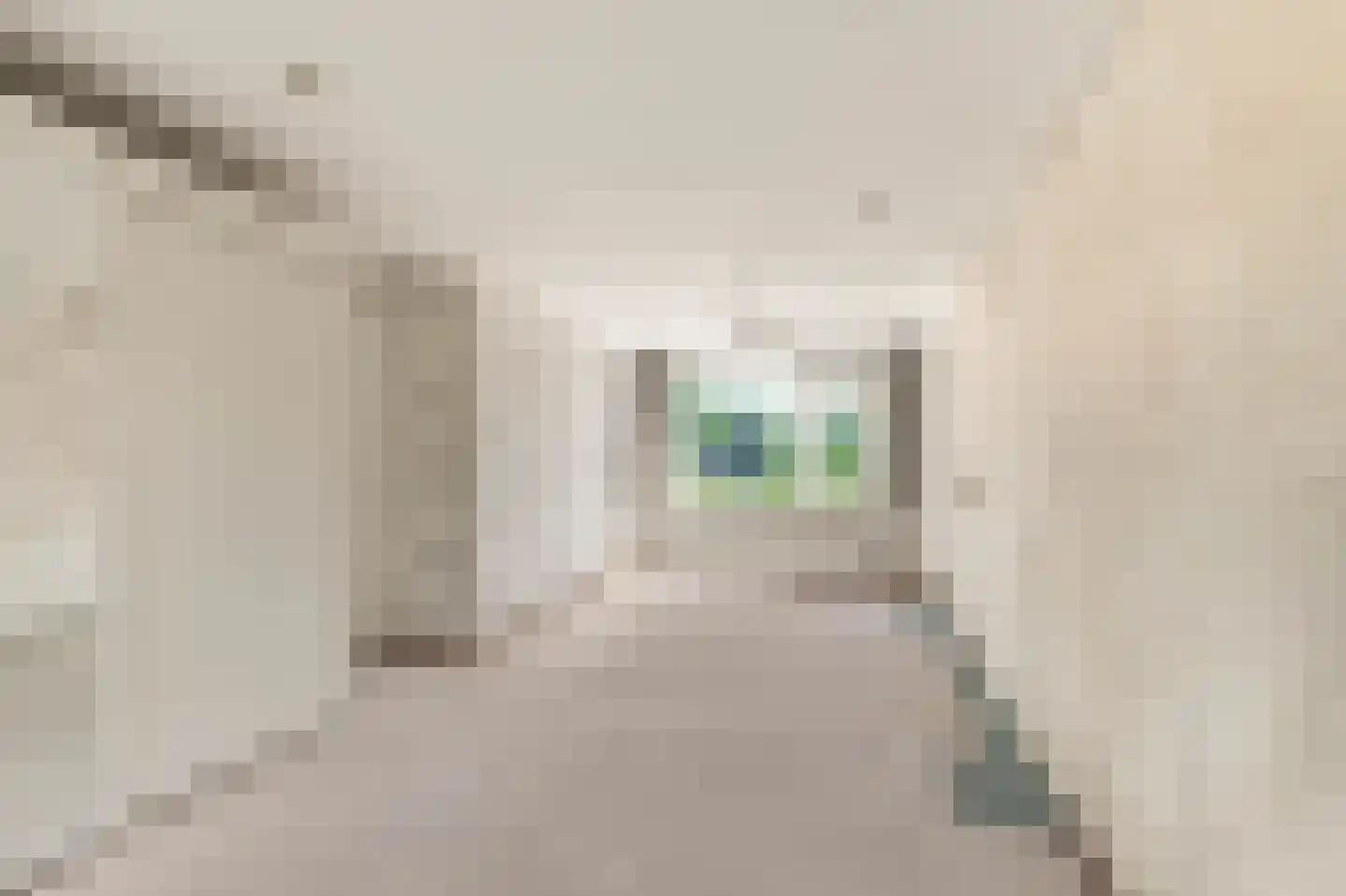 Sparrenlaan 8 Oudorp thumbnail 26