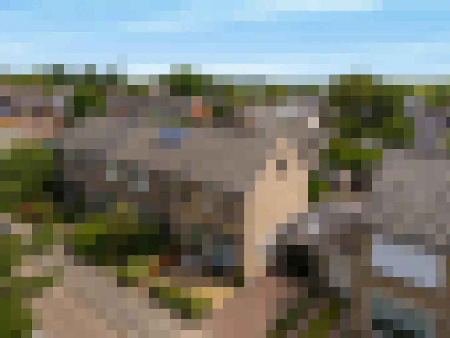 Sparrenlaan 8 Oudorp thumbnail 34