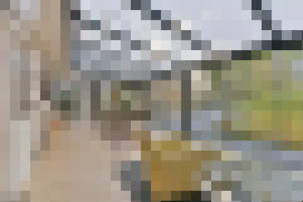 Sparrenlaan 9 Bosch en Duin thumbnail 21