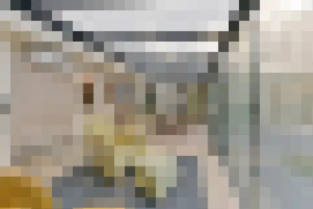 Sparrenlaan 9 Bosch en Duin thumbnail 22