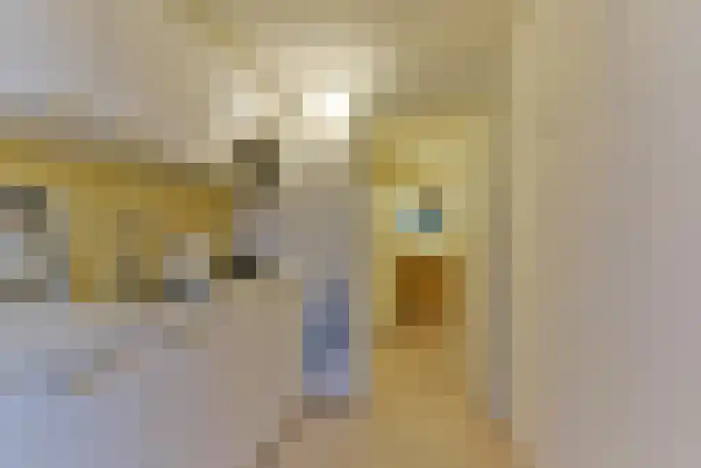 Sparrenlaan 9 Bosch en Duin thumbnail 24