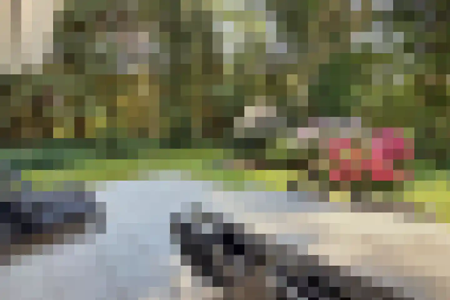 Sparrenlaan 9 Bosch en Duin thumbnail 30