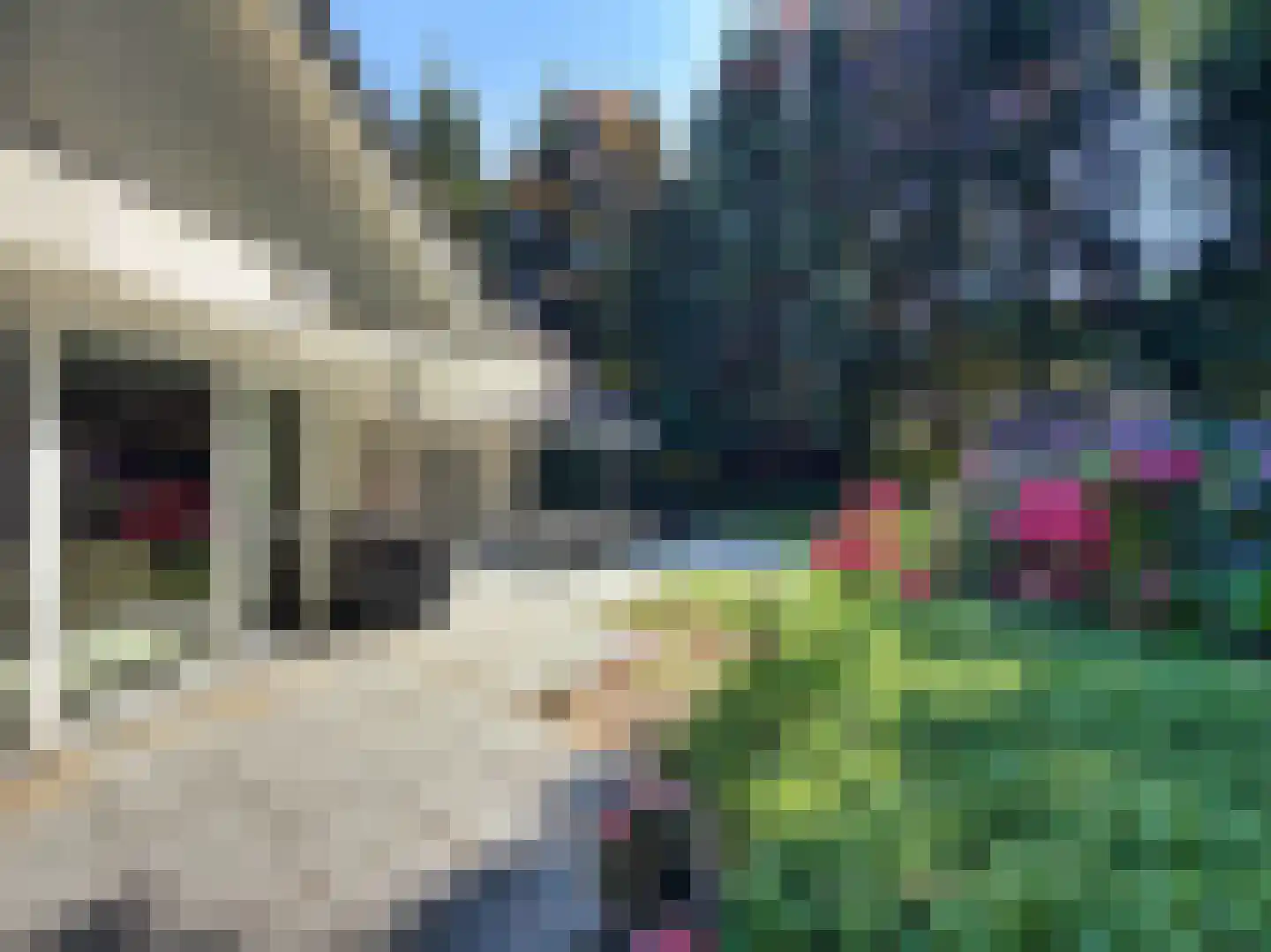 Sparrenlaan 9 Bosch en Duin thumbnail 31