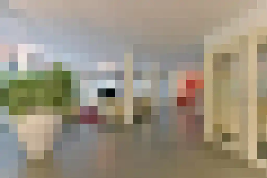 Sparrenlaan 9 Bosch en Duin thumbnail 7