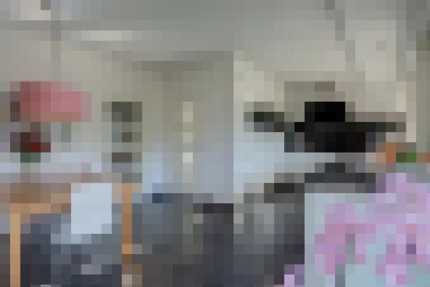 Sparrenlaan 9 Wierden thumbnail 22