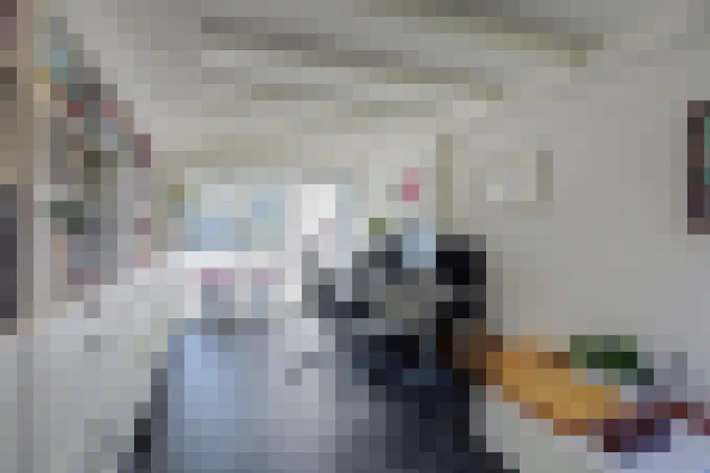 Sparrenlaan 9 Wierden thumbnail 27