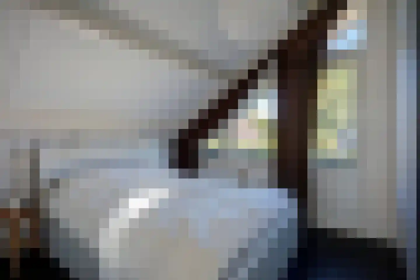 Sparrenlaan 9 Wierden thumbnail 33