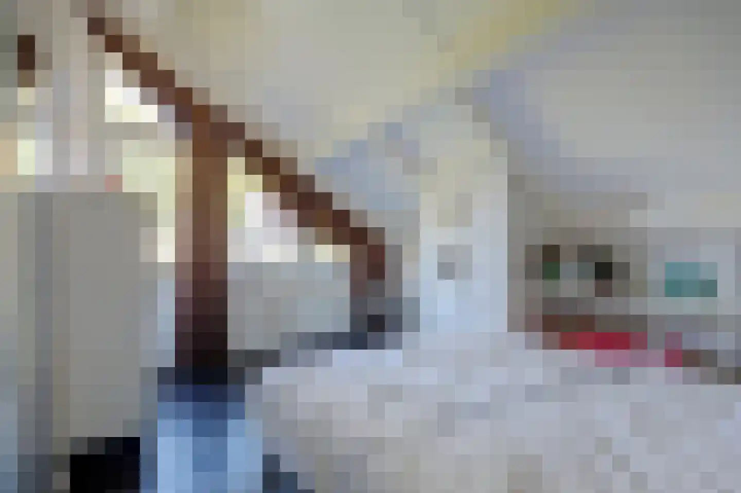 Sparrenlaan 9 Wierden thumbnail 35