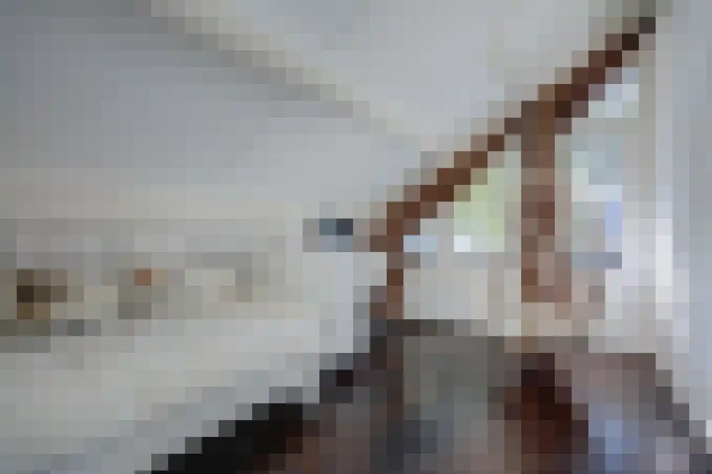 Sparrenlaan 9 Wierden thumbnail 37
