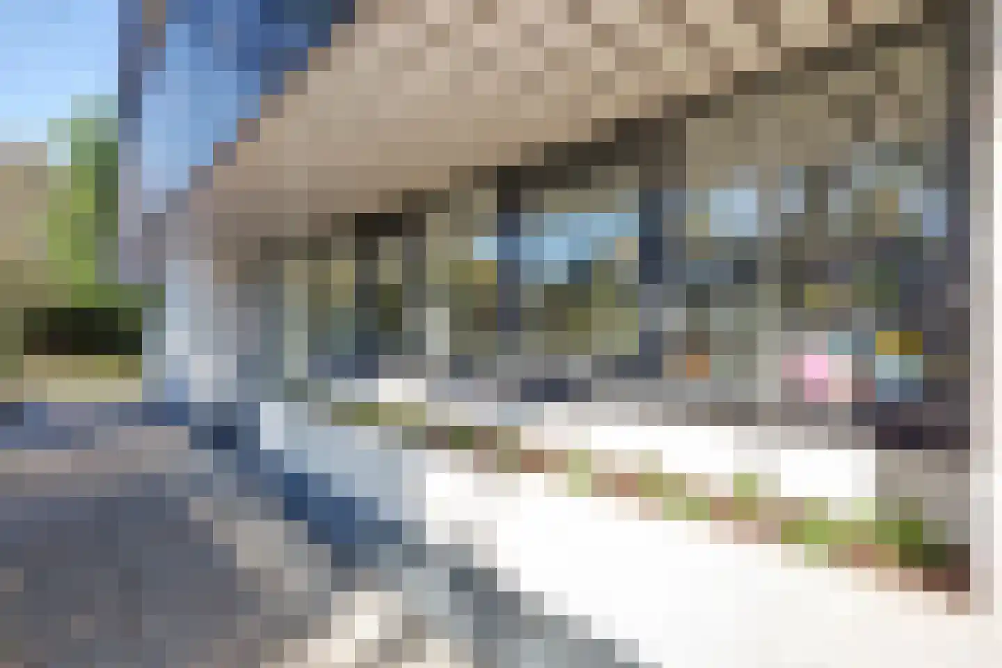 Sparrenlaan 9 Wierden thumbnail 45