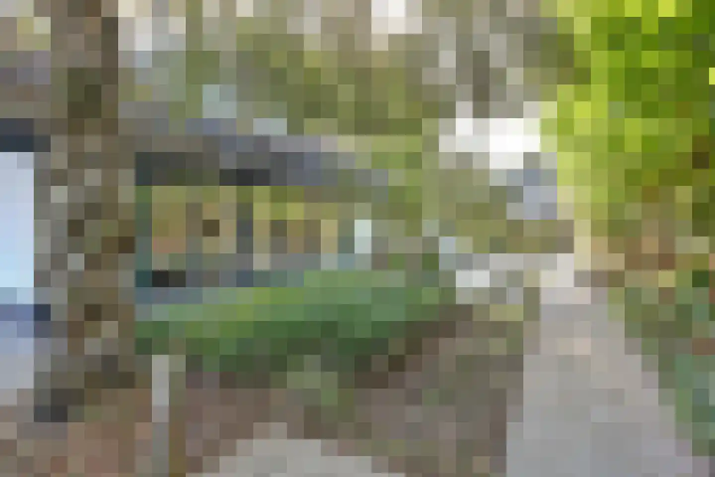 Sparrenlaan 9 Wierden thumbnail 49