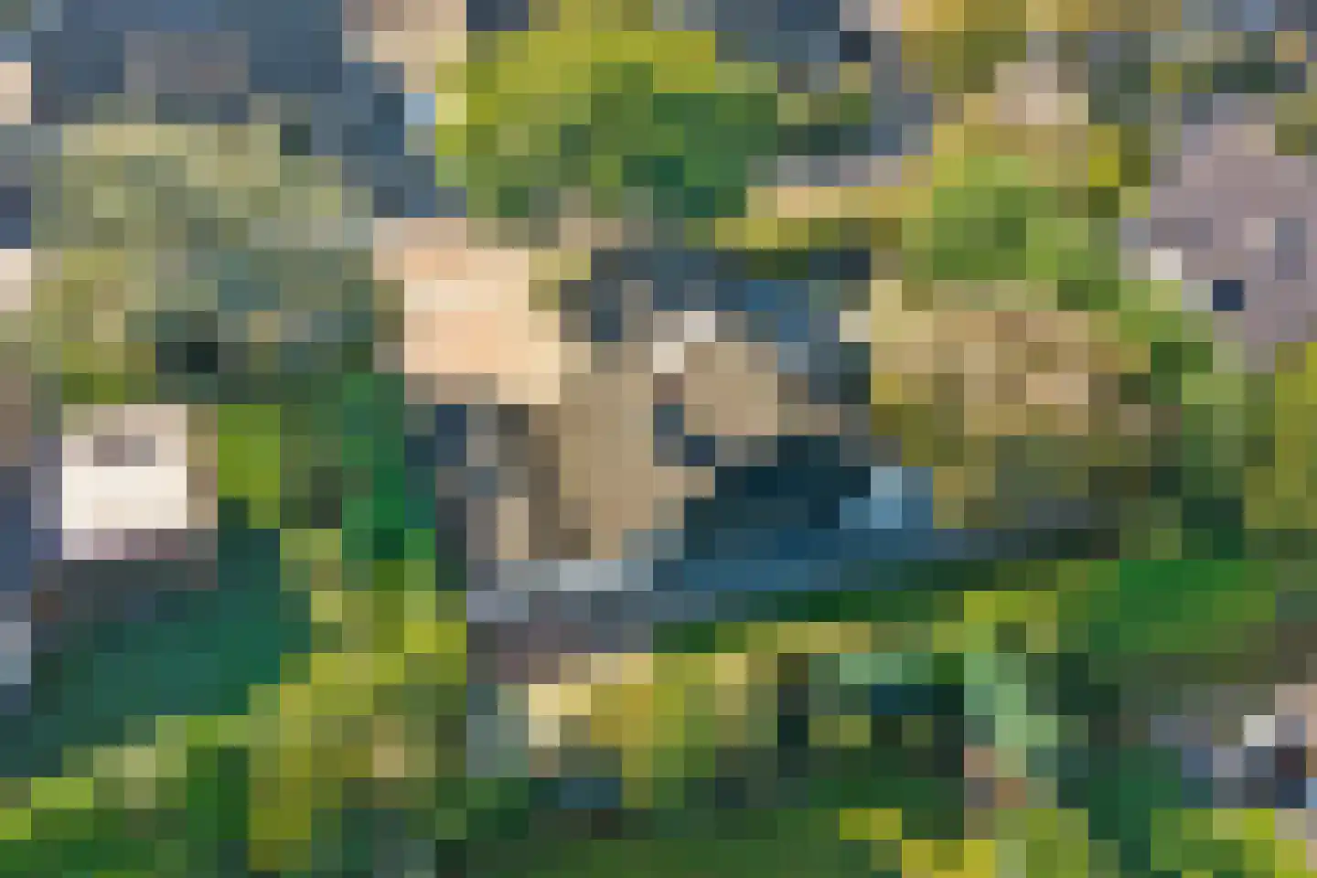 Sparrenlaan 9 Wierden thumbnail 53