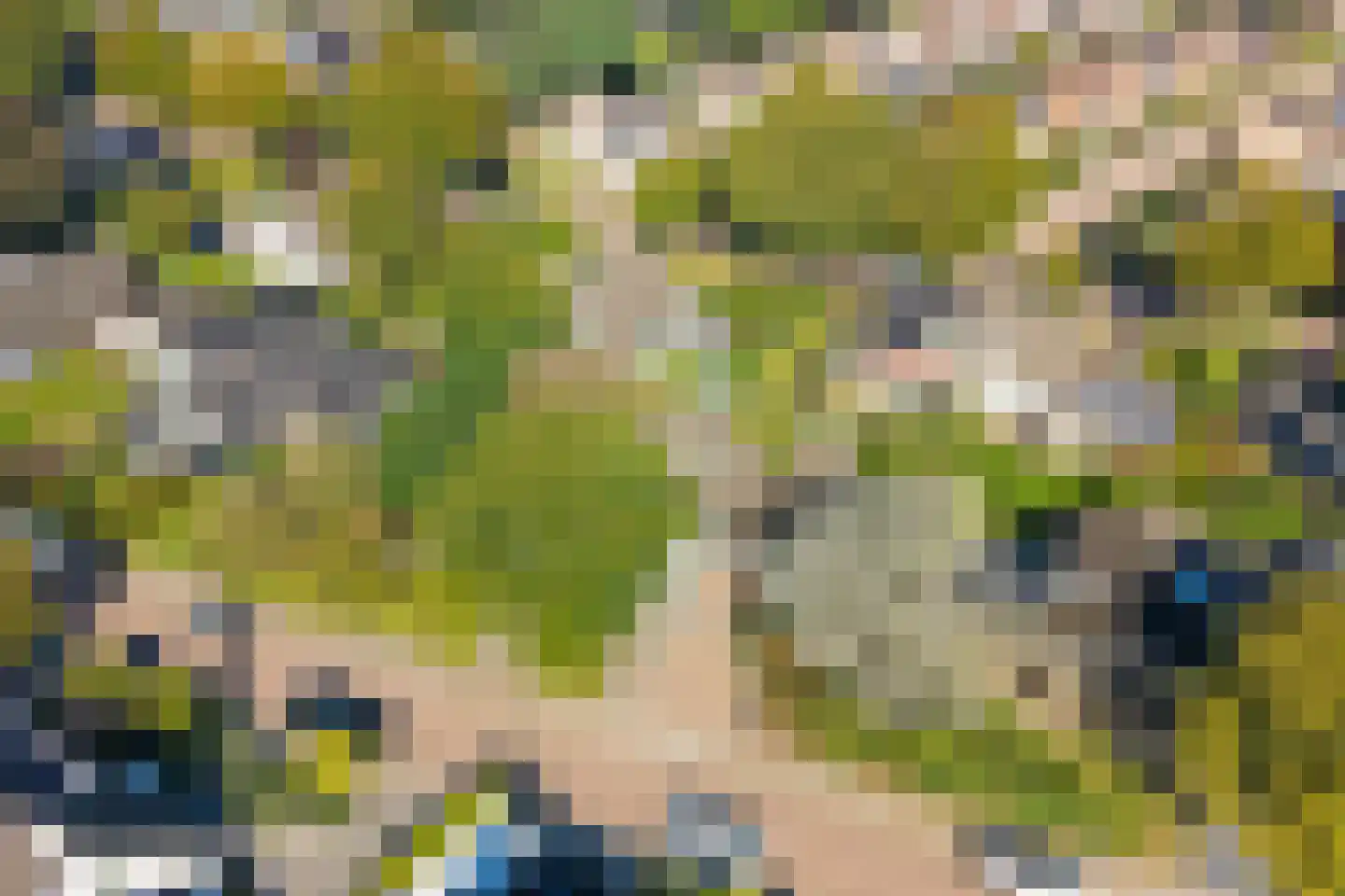 Sparrenlaan 9 Wierden thumbnail 54