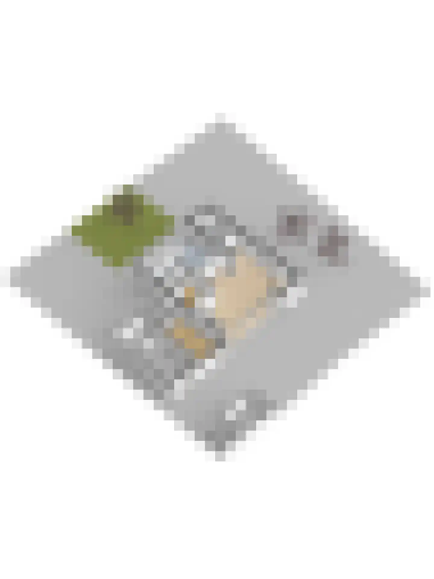 Sparrenlaan 9 Wierden thumbnail 59