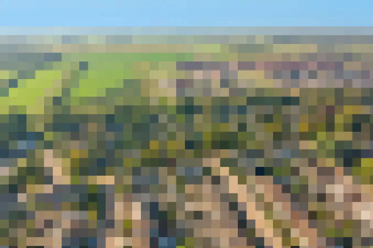 Sparrenlaan 9 Wierden thumbnail 8
