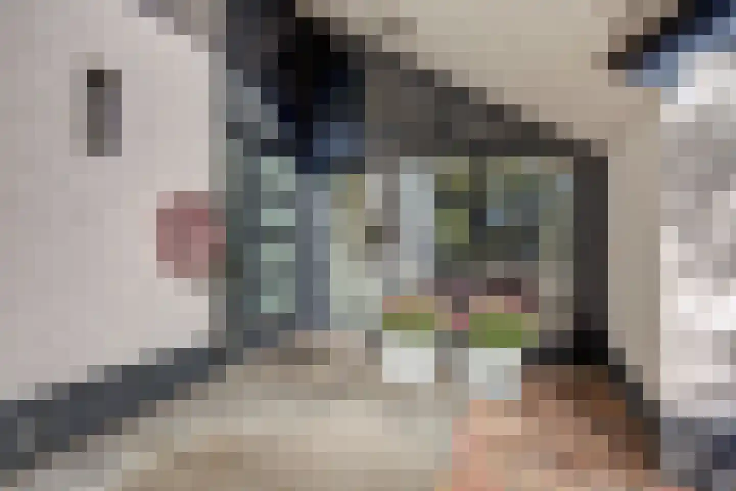 Sparrenlaan 9 Wierden thumbnail 9