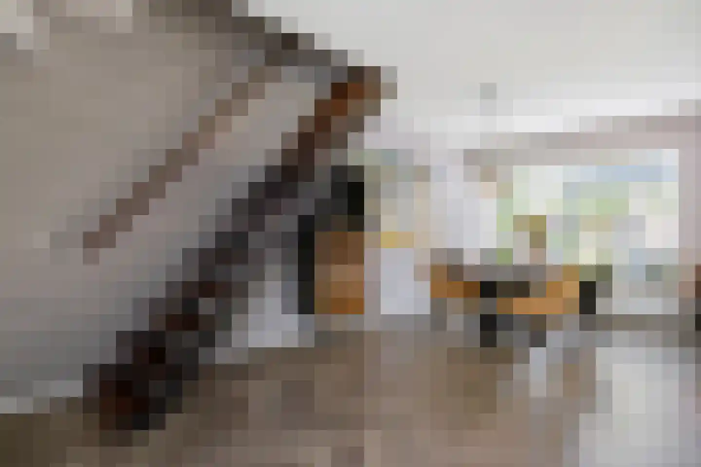Sparrenplein 9 Raalte thumbnail 10