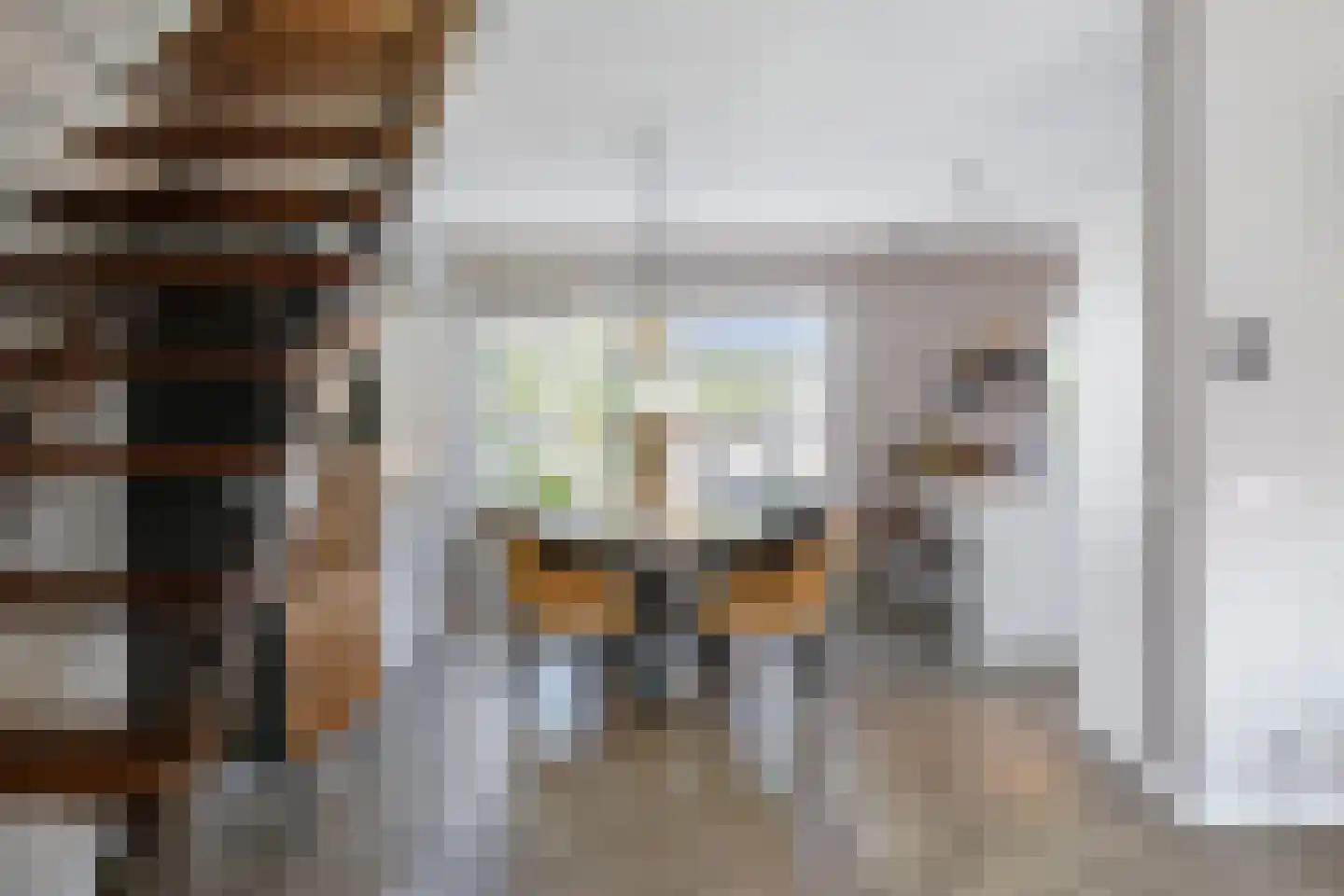 Sparrenplein 9 Raalte thumbnail 12