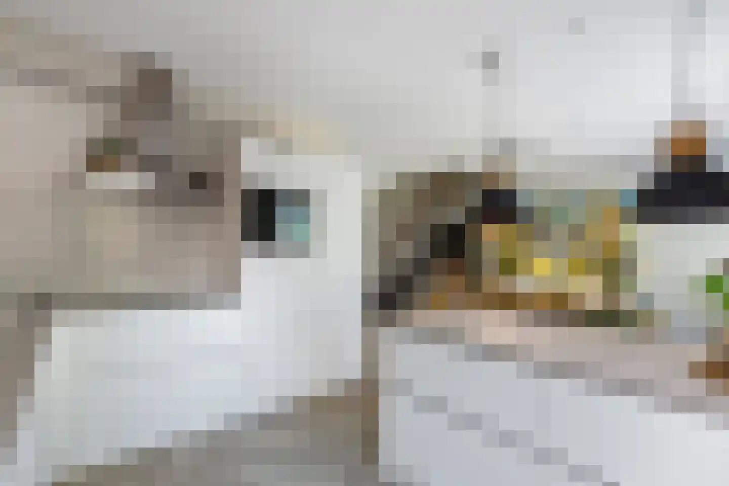 Sparrenplein 9 Raalte thumbnail 16