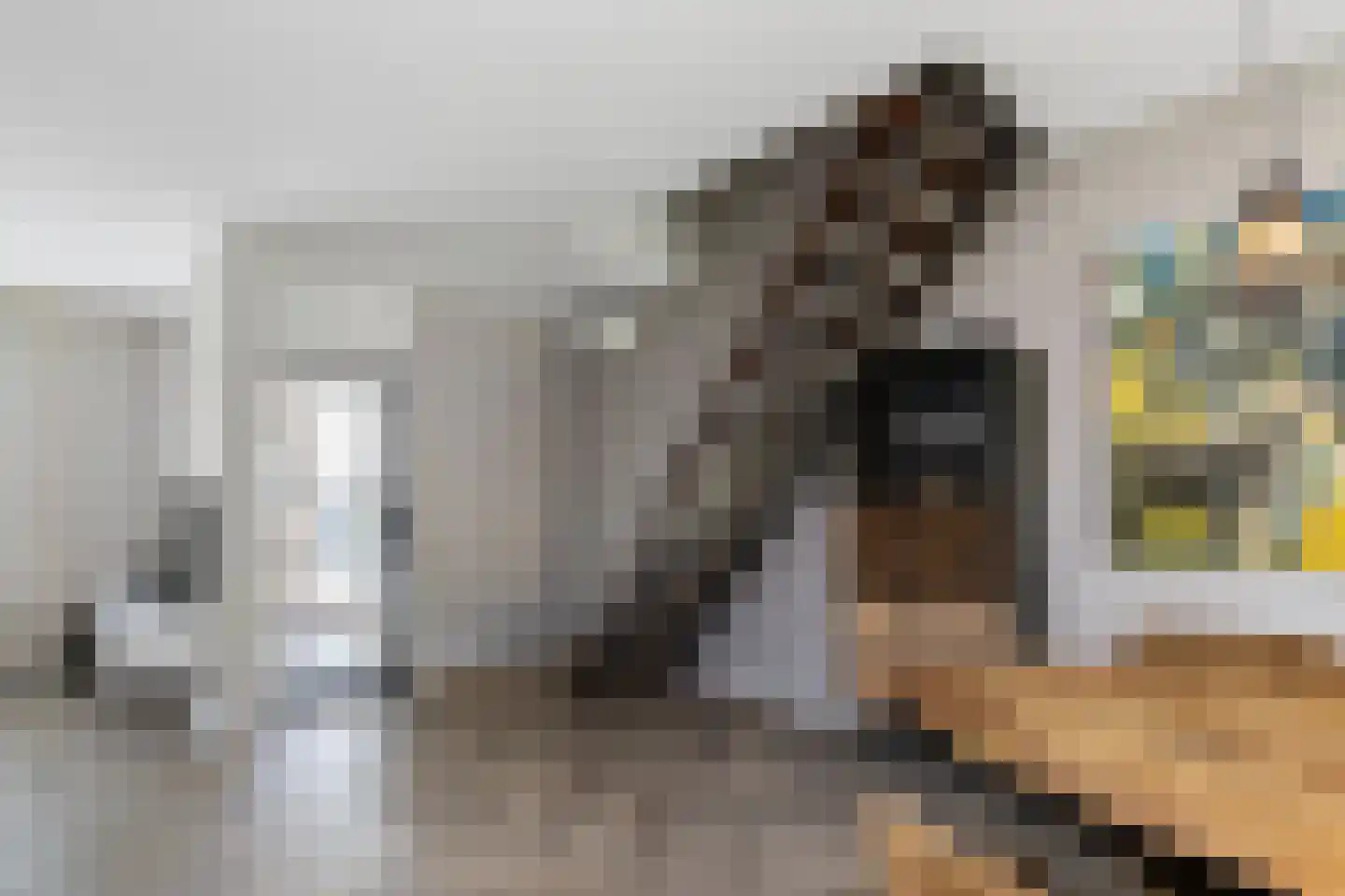 Sparrenplein 9 Raalte thumbnail 17