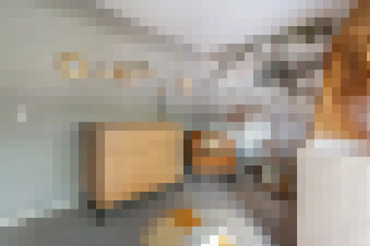 Sparrenplein 9 Raalte thumbnail 19