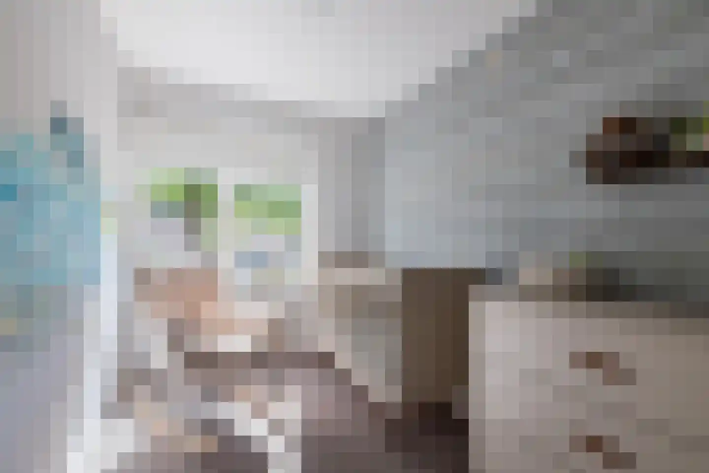 Sparrenplein 9 Raalte thumbnail 21