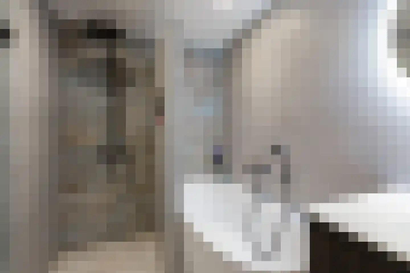 Sparrenplein 9 Raalte thumbnail 26