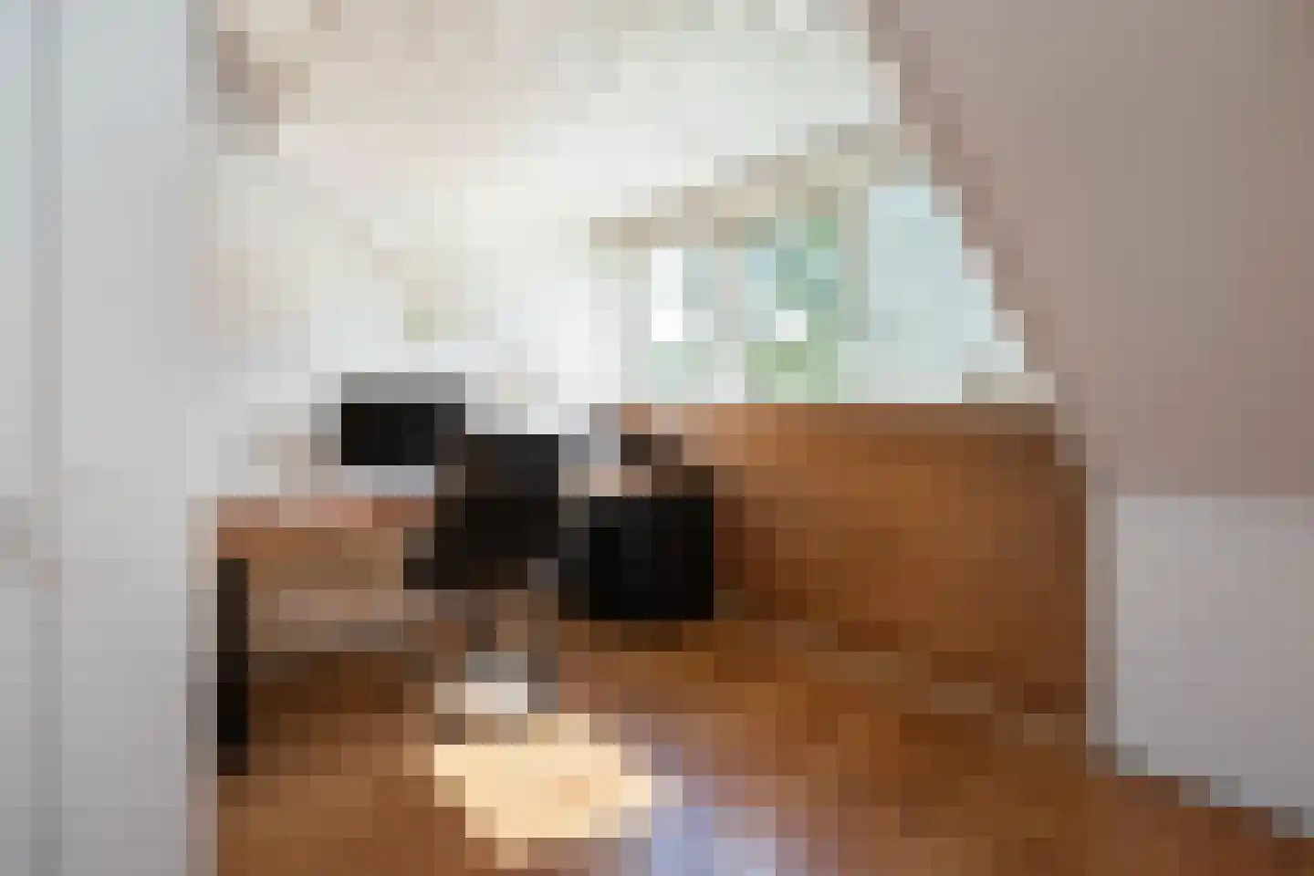 Sparrenplein 9 Raalte thumbnail 29