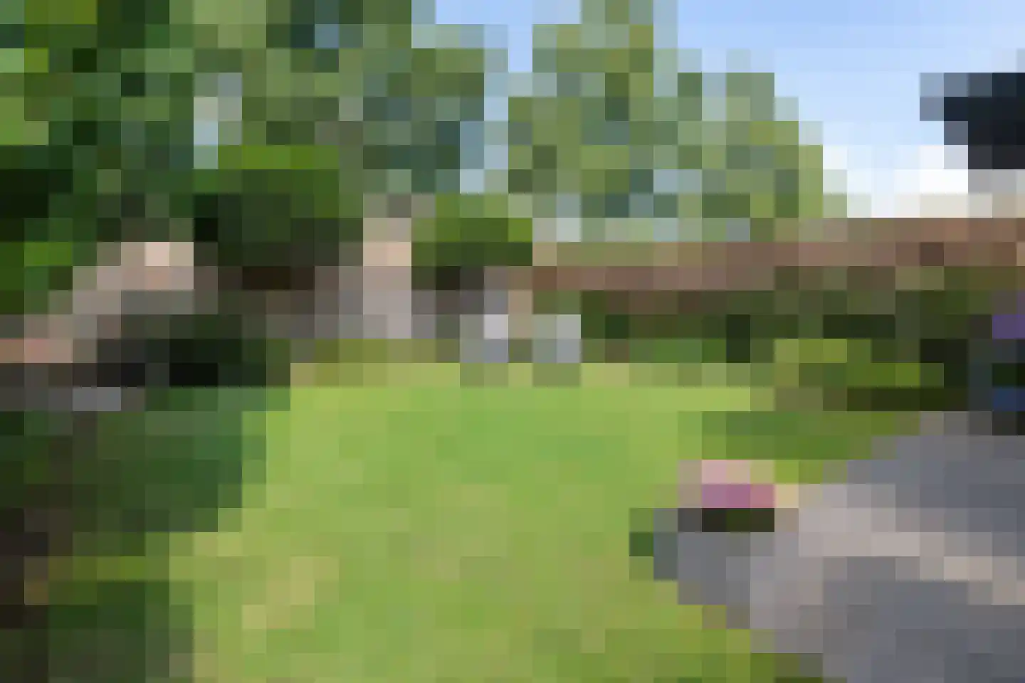 Sparrenplein 9 Raalte thumbnail 34