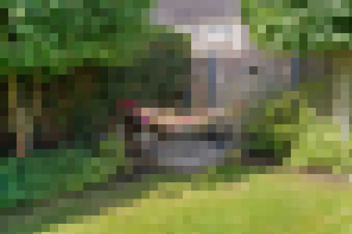 Sparrenplein 9 Raalte thumbnail 38