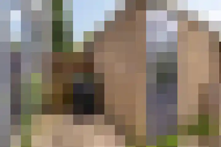 Sparrenrode 11 Leiden thumbnail 10