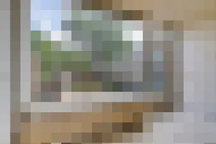 Sparrenrode 11 Leiden thumbnail 14
