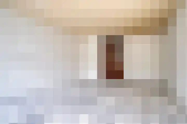 Sparrenrode 11 Leiden thumbnail 15