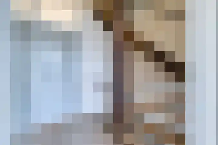 Sparrenrode 11 Leiden thumbnail 19