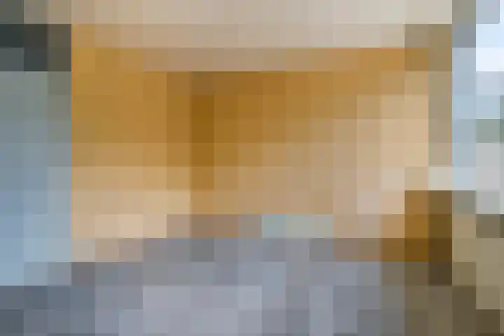 Sparrenrode 11 Leiden thumbnail 22