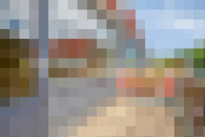 Sparrenrode 11 Leiden thumbnail 24