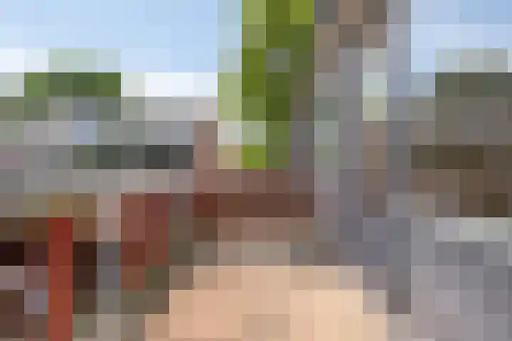 Sparrenrode 11 Leiden thumbnail 25
