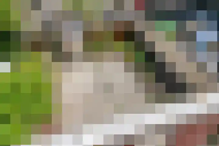Sparrenrode 11 Leiden thumbnail 26