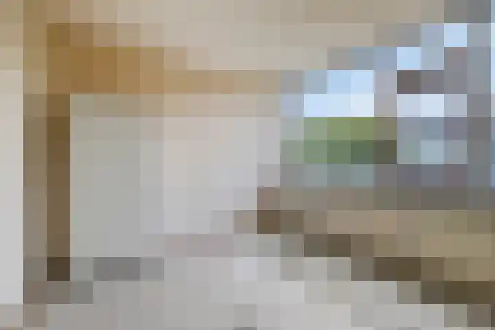 Sparrenrode 11 Leiden thumbnail 27