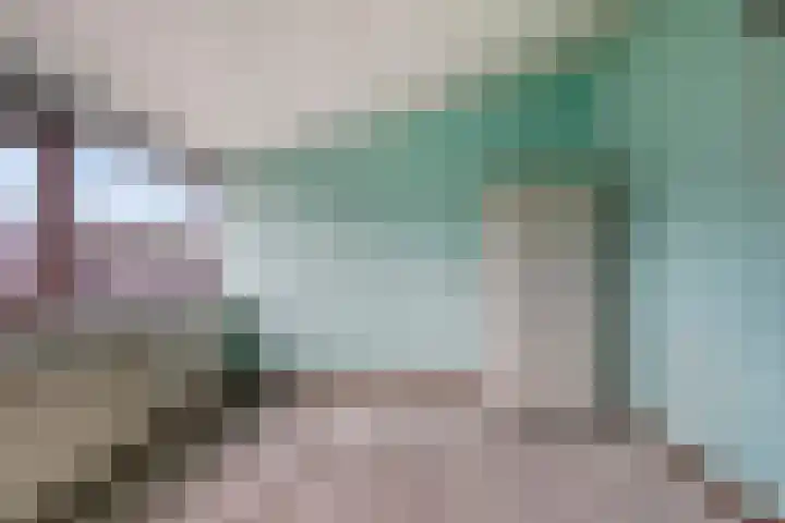 Sparrenrode 11 Leiden thumbnail 30